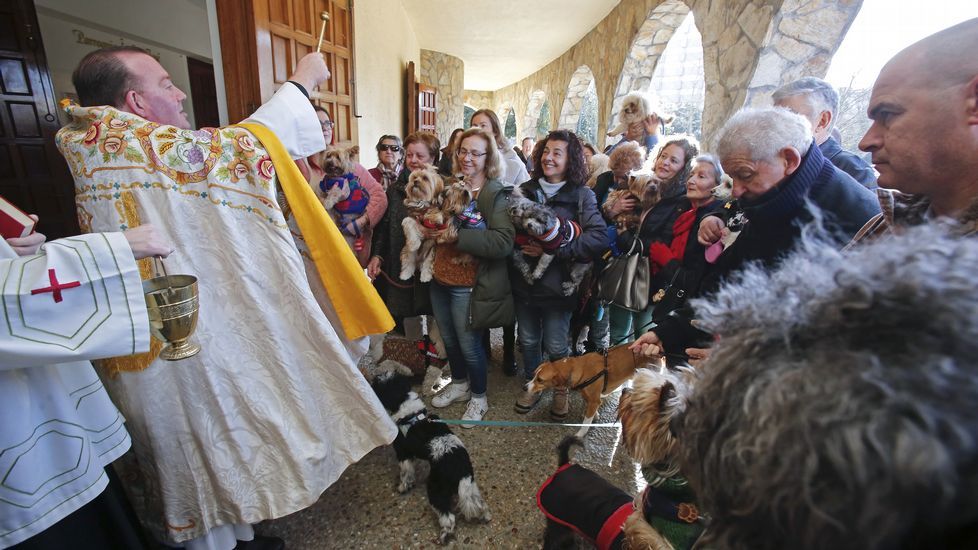 Bendición de mascotas en la iglesia de Campolongo