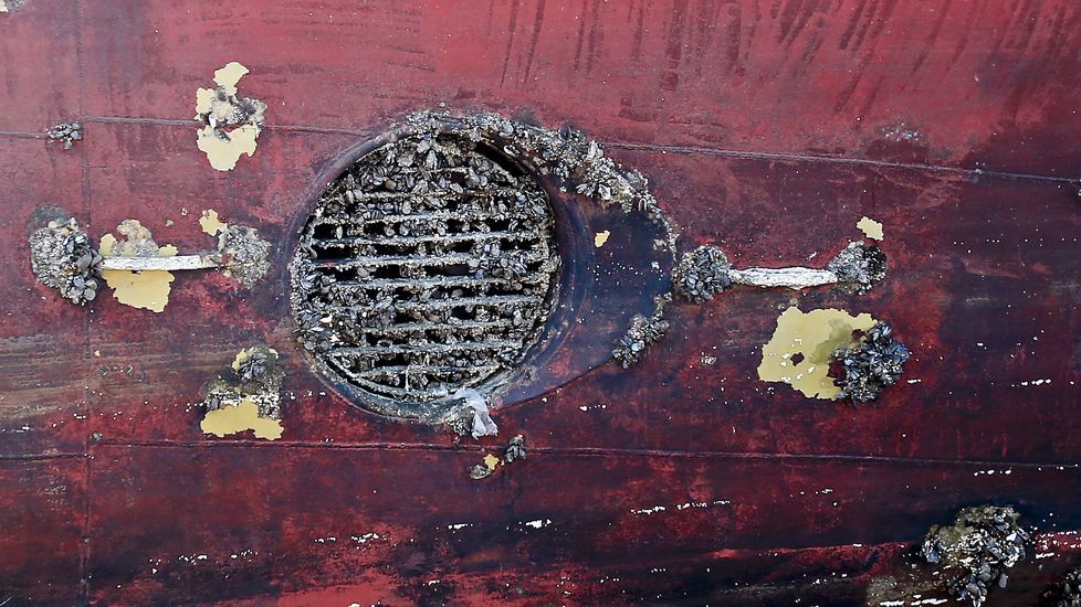 Desguace del atunero Albacora Diez en el puerto de Marín