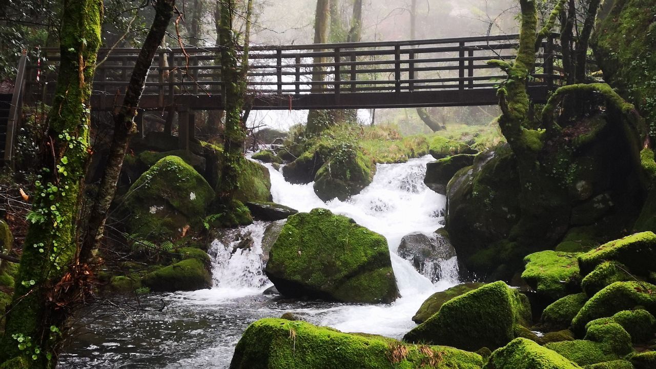 Arranca la la vista preliminar del caso Diana Quer.Clara Millares, en el mismo instante en que los �rbitros la declararon vencedora