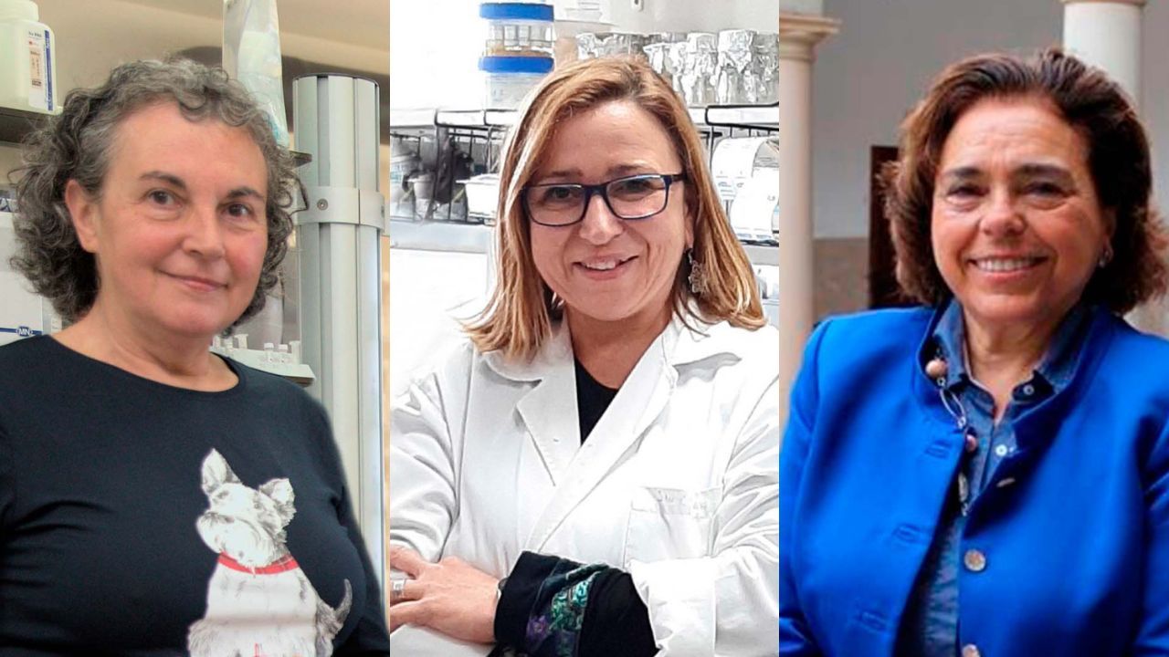 Las investigadoras de la Universidad de Oviedo Eva Garc�a V�zquez, Rosa Mar�a Sainz y Andonina Tard�n