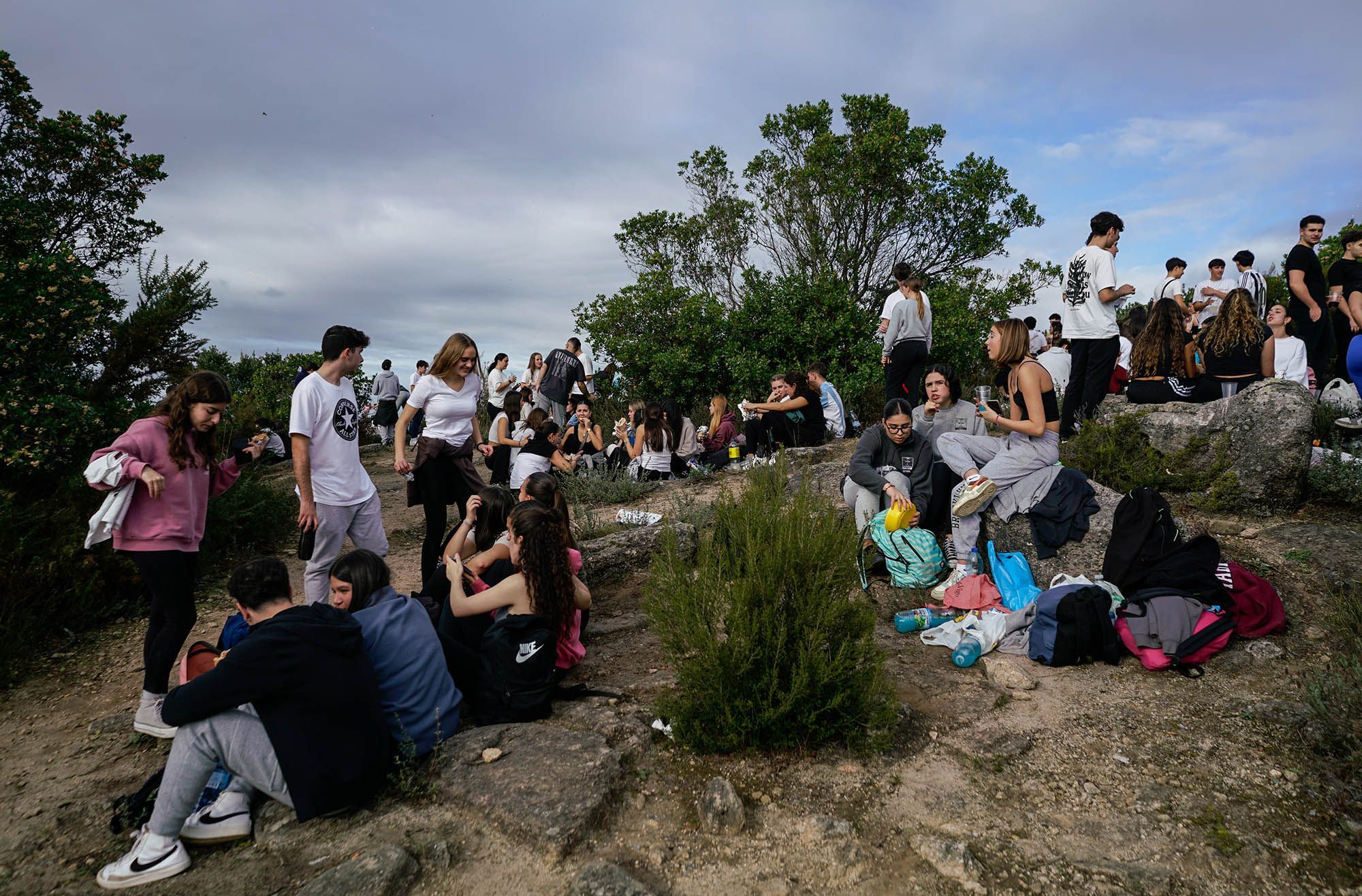 Magosto de Montealegre en Ourense. 09/11/2024