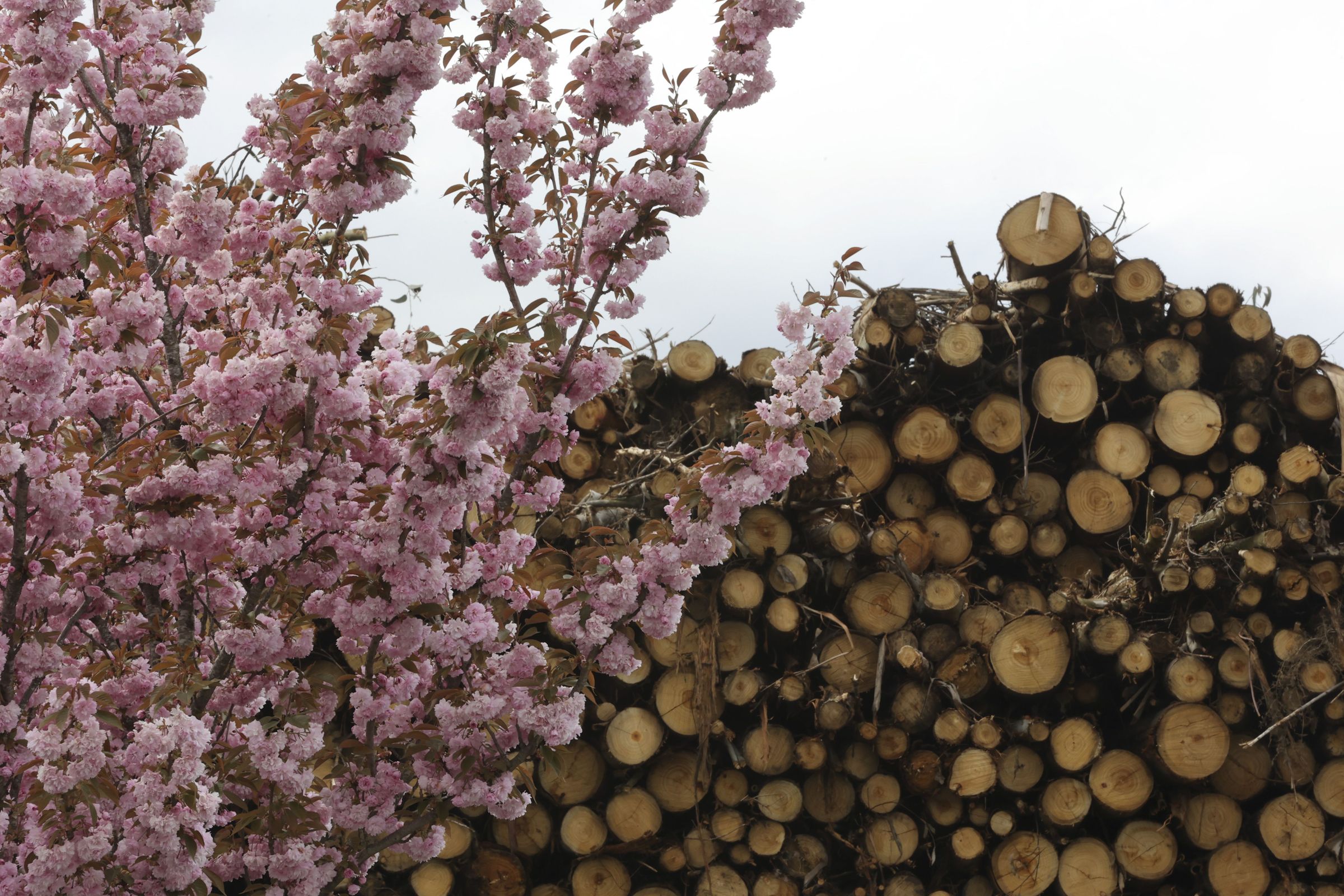 Finsa en Santiago. 21/04/2025