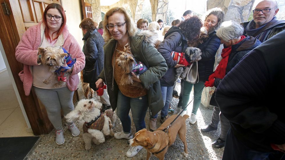 Bendición de mascotas en la iglesia de Campolongo