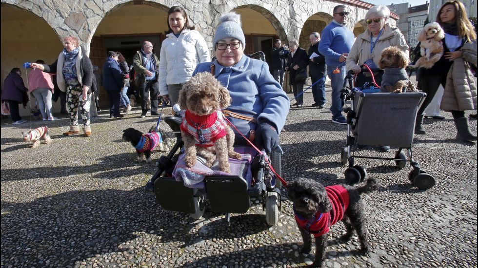 Bendición de mascotas en la iglesia de Campolongo