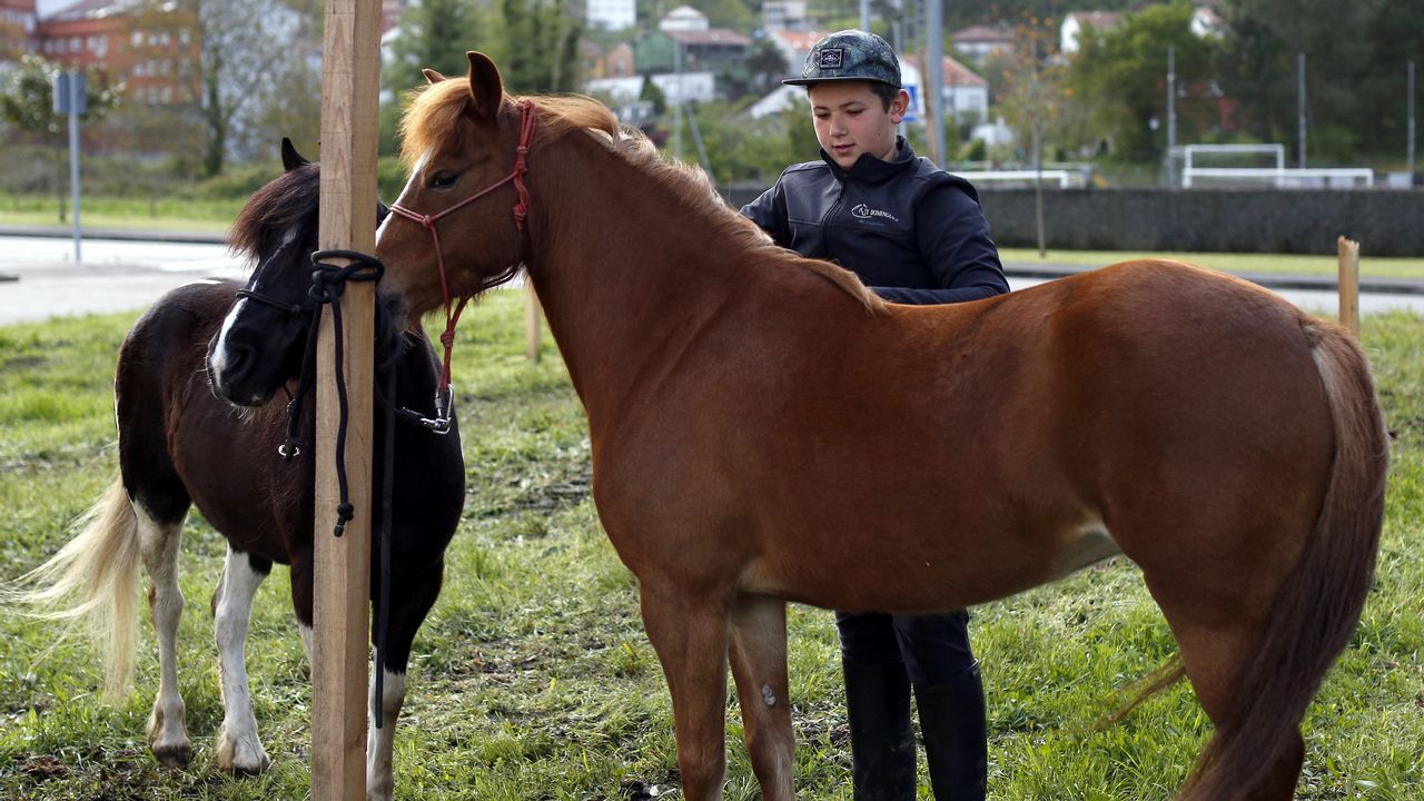 Feria caballar en las Fiestas de San Marcos 2019