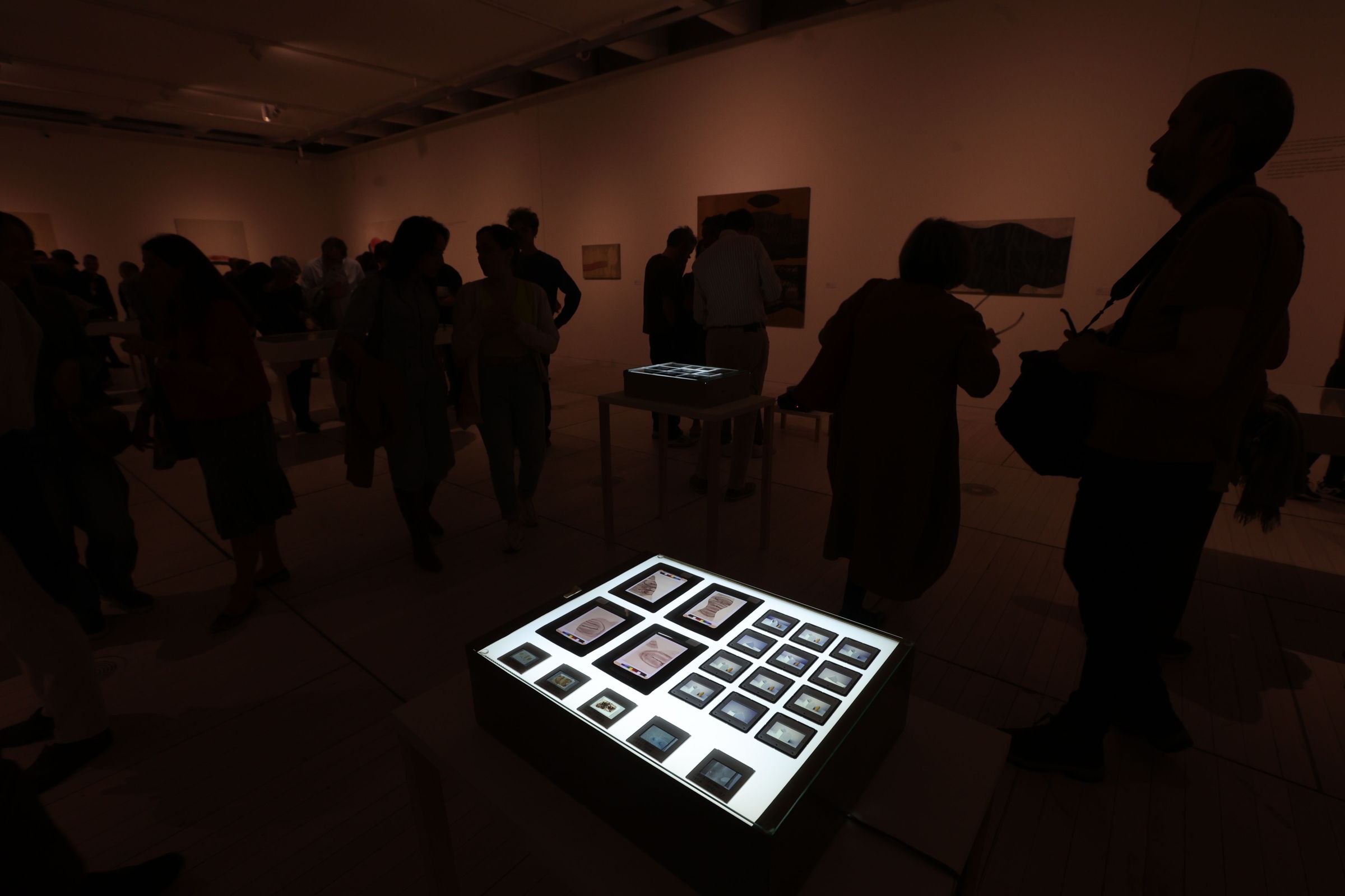 Exposici�n de Berta C�ccamo no Edificio Castelao do Museo de Pontevedra. 12/04/2024