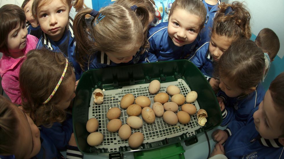 Proyecto voz natura en el colegio Jaime Balmes
