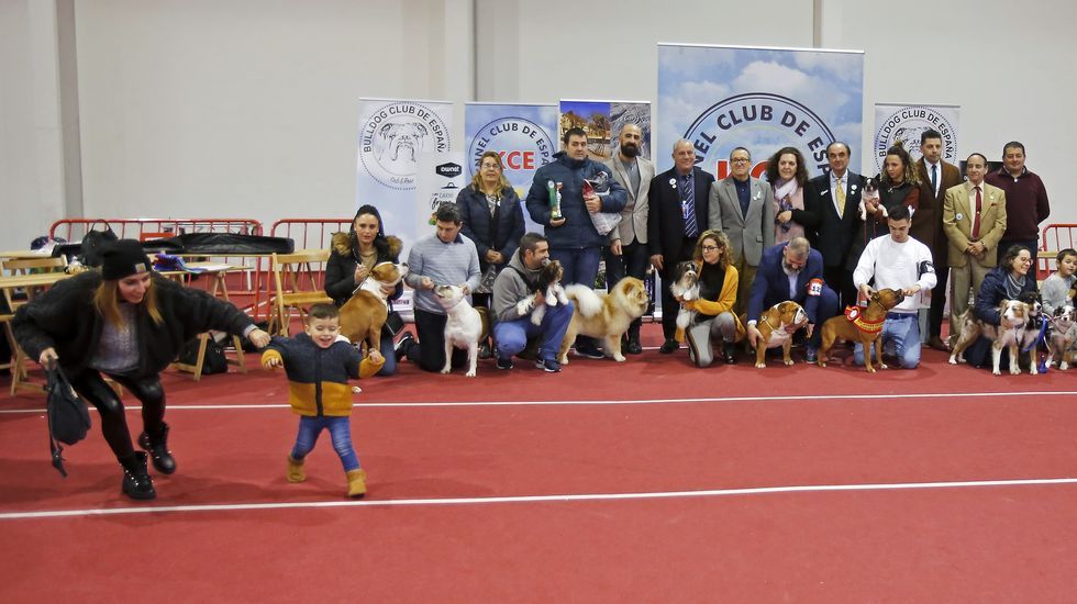 III Exposición Internacional Canina de Ponte Caldelas