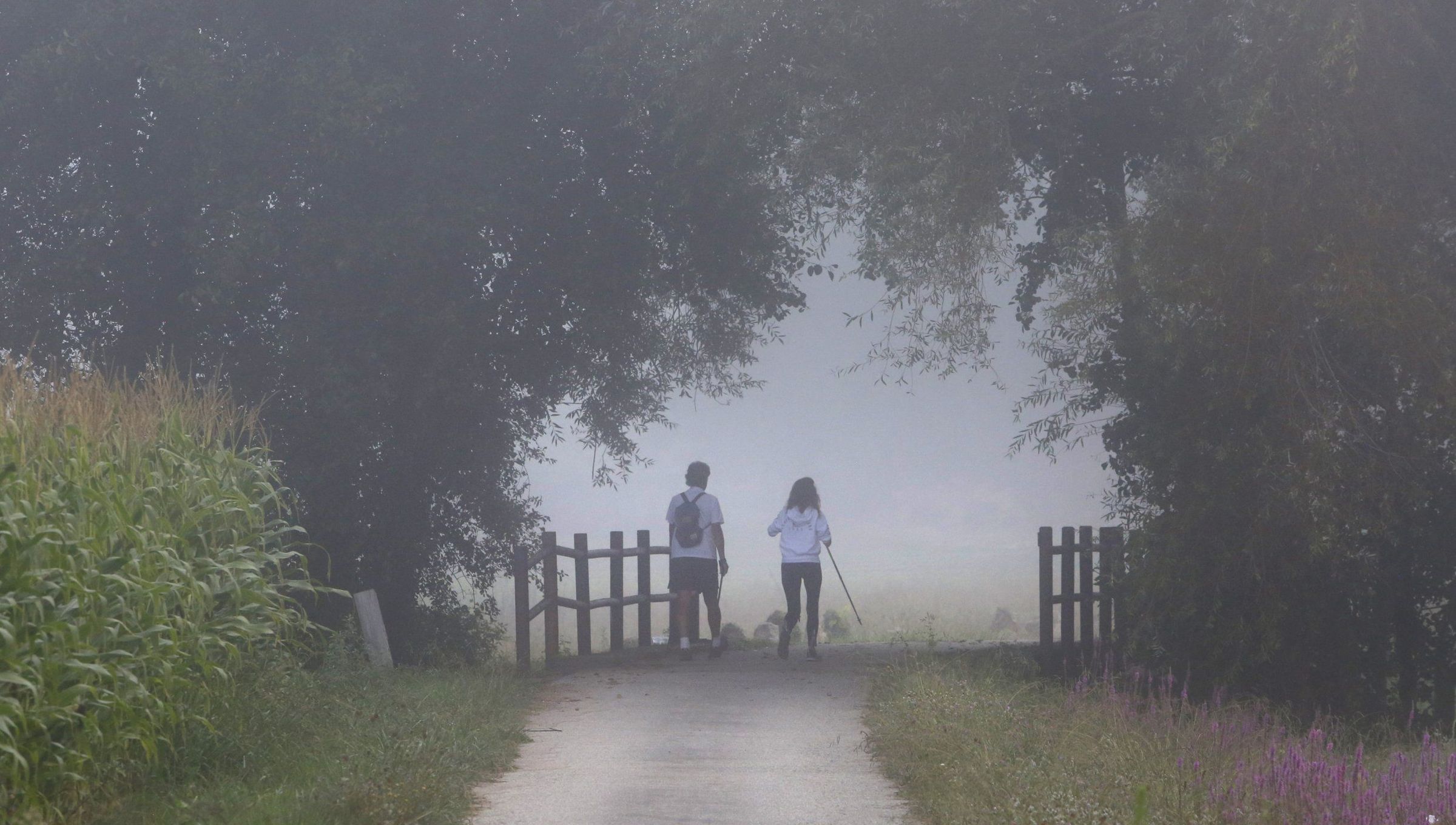 El río Umia con niebla en Ribadumia.El río Umia con niebla