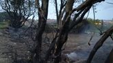 Terreno calcinado en el entorno del Ágora de A Coruña