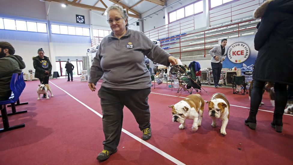 III Exposición Canina de Ponte Caldelas