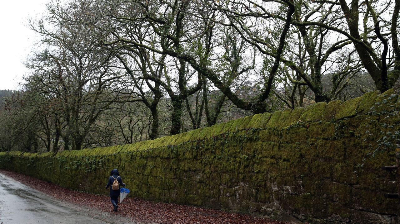 Ruta de senderismo del Río Chanca, arranca en Meis y acaba en Simes