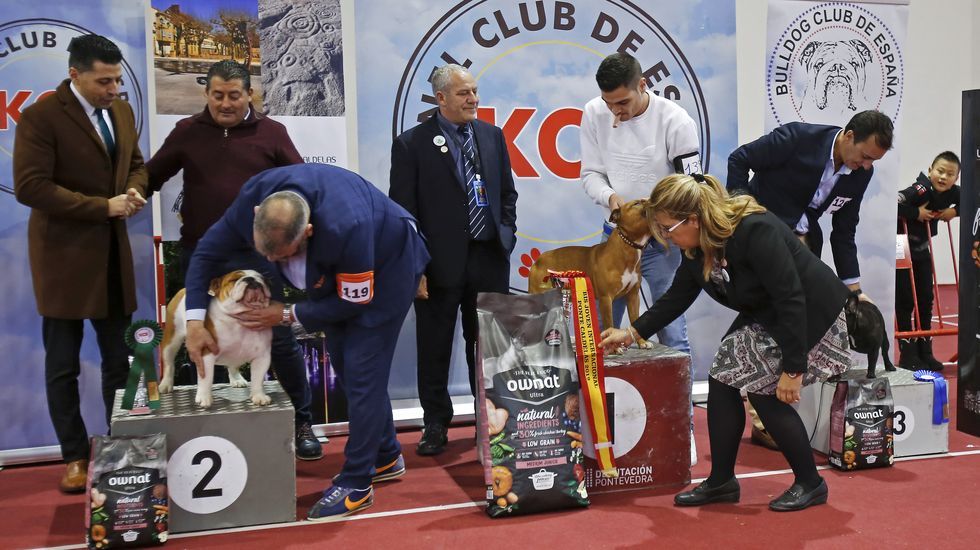 III Exposición Internacional Canina de Ponte Caldelas