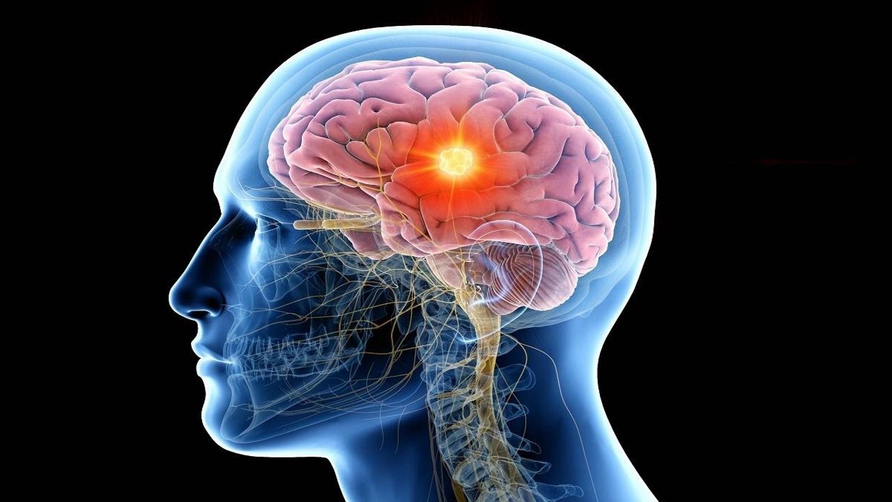 Los investigadores del MIT y autores del informe �Los l�mites del crecimiento� J�rgen Randers, Jay Forrester, Donella Meadows, Dennis Meadows y William Behrens