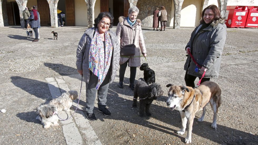 Bendición de mascotas en la iglesia de Campolongo