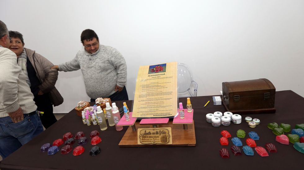 Exposición de la camelia en Boiro