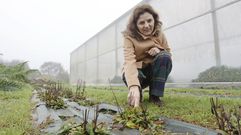 Entrevista a Rosa Romero, directora de la Escuela Politécnica Superior de Lugo.