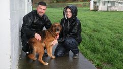 En invierno en el refugio de animales de la asociaci&oacute;n Cometa