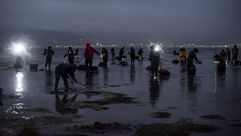 Mariscadoras en la r&iacute;a de Pontevedra