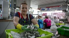 Alta demanda de sardina para san Xo&aacute;n
