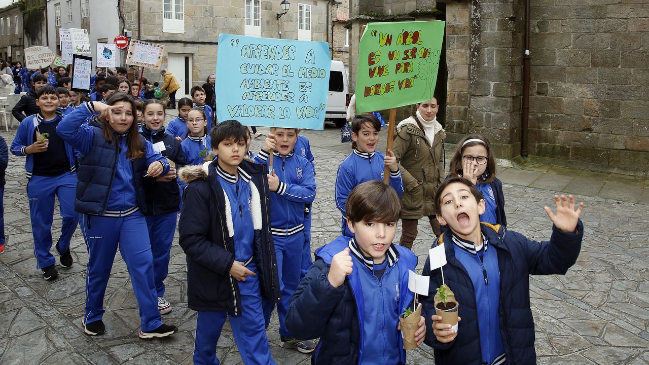 Voz Natura final del colegio Jaime Balmes, entrega de brotes de hortalizas de su huerto escolar 2020