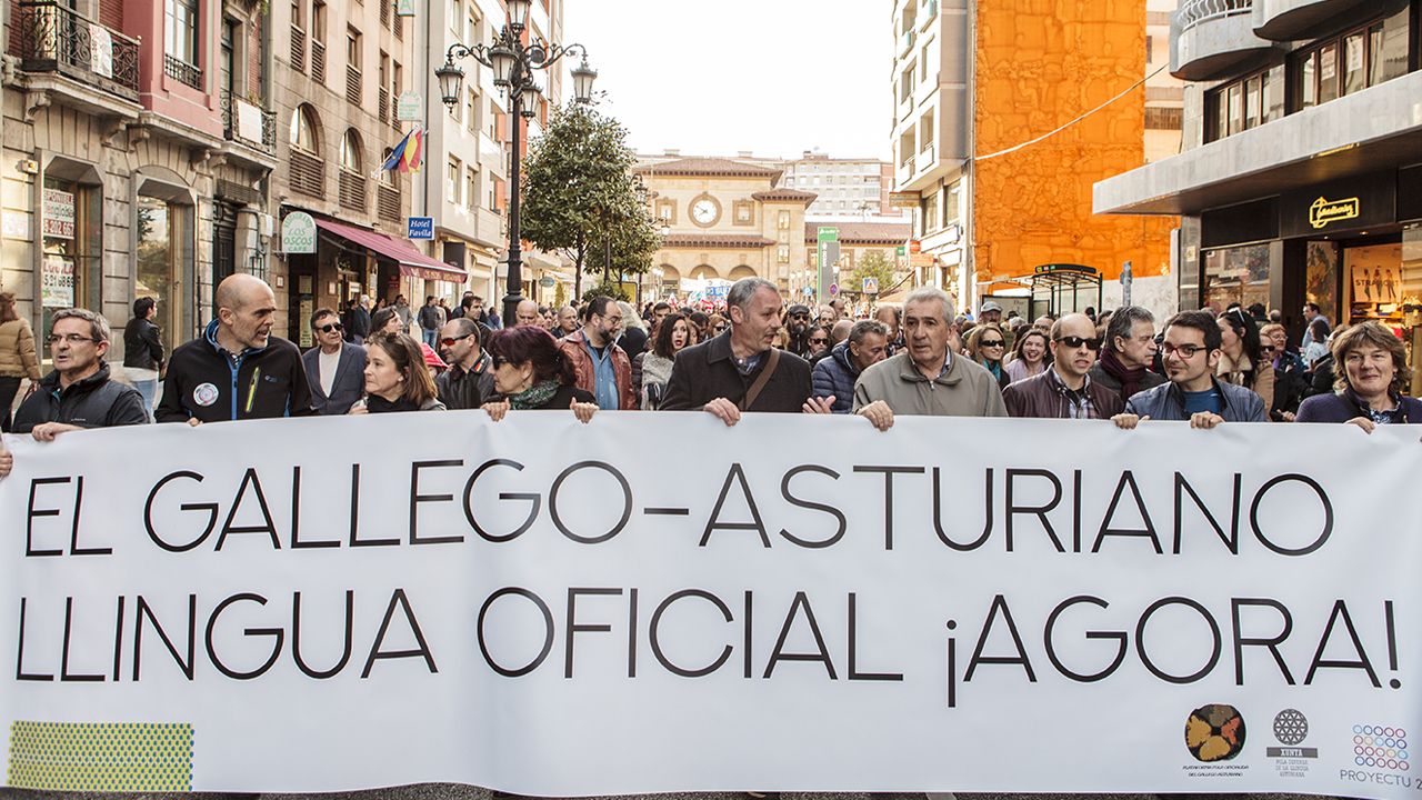 La manifestación por la oficialidad