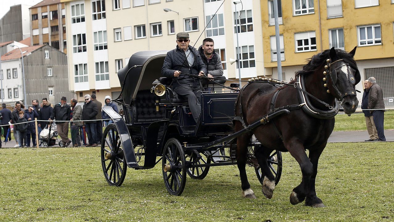 Feria caballar en las Fiestas de San Marcos 2019