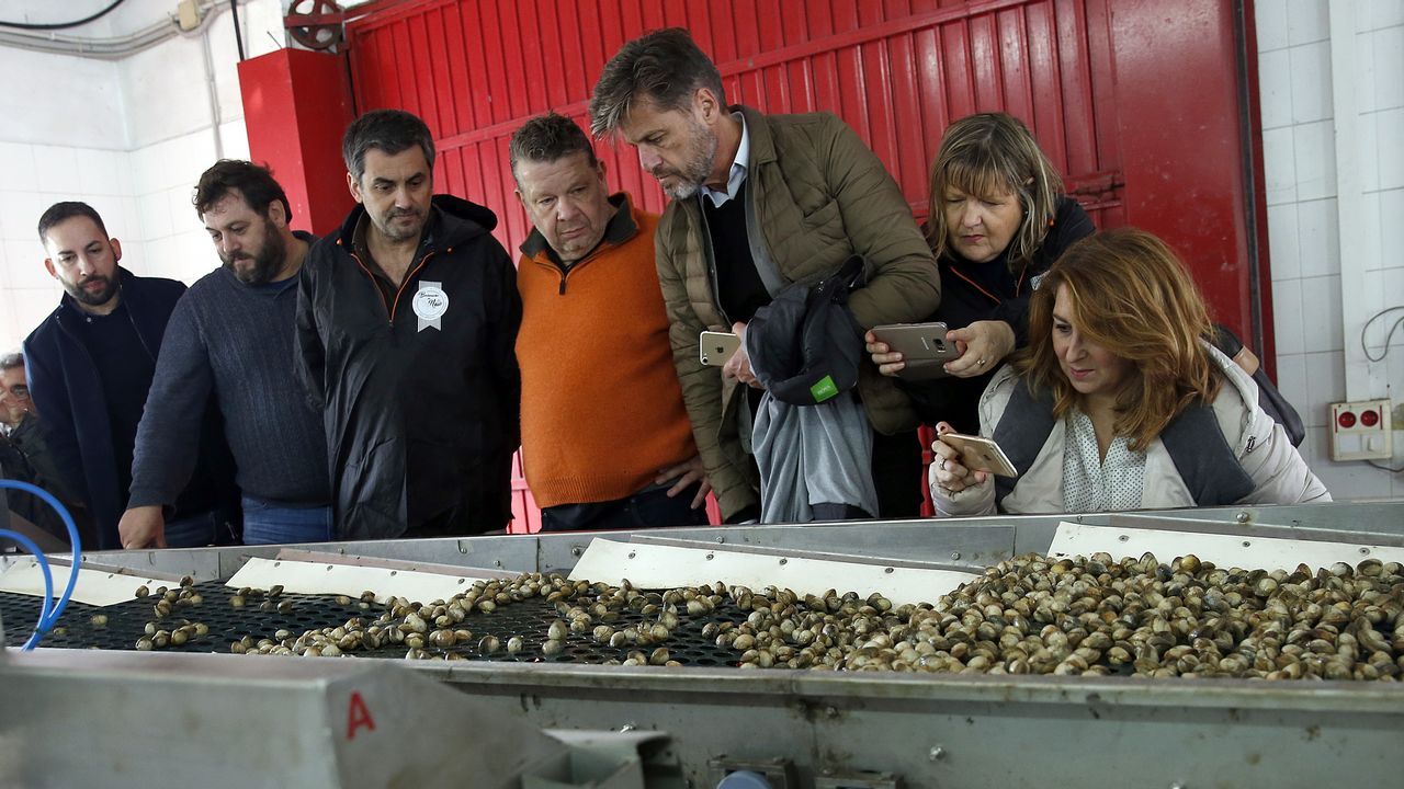 Alberto Chicote visita los bancos marisqueros de Testal en Noia