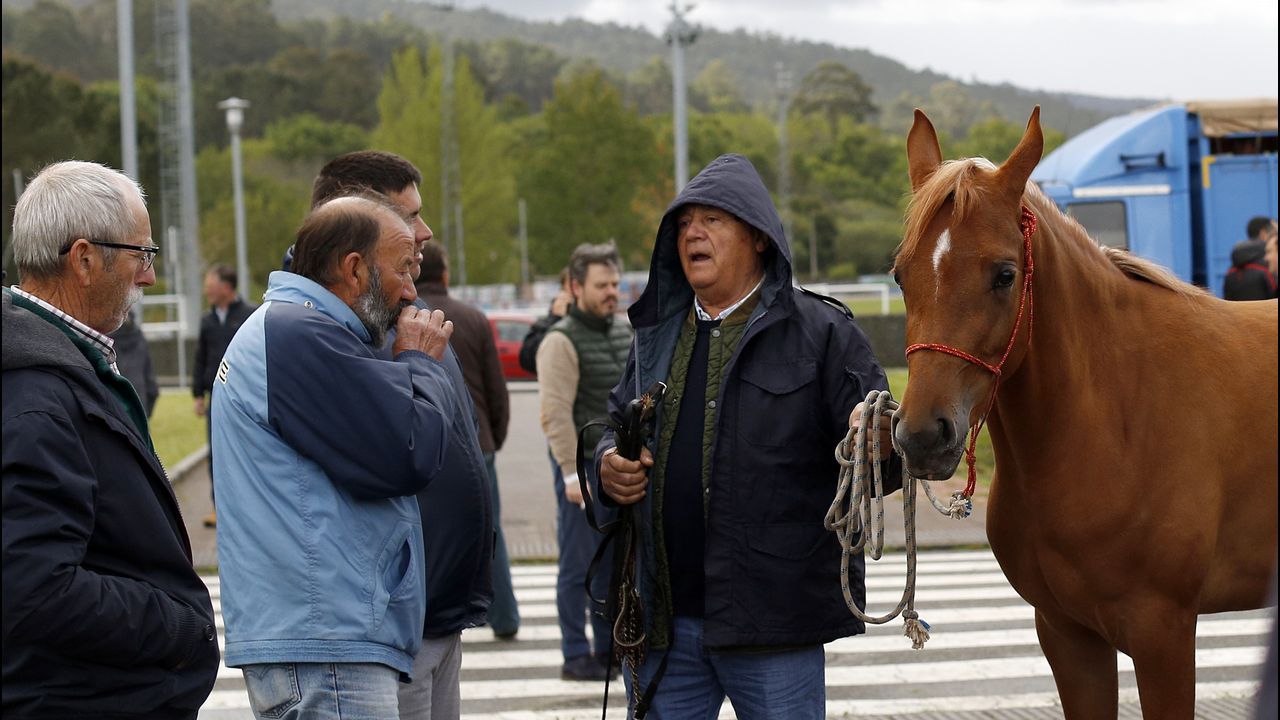Feria caballar en las Fiestas de San Marcos 2019