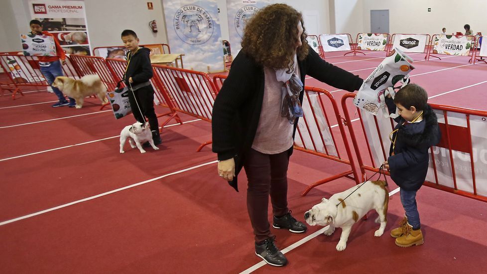 III Exposición Canina de Ponte Caldelas