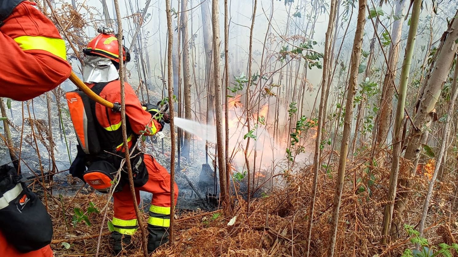 Un pirómano, cazado in fraganti en Asturias