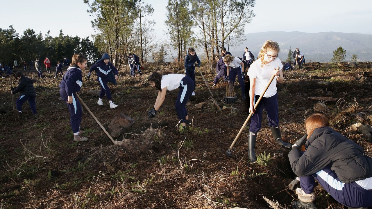 Salida de reforestación en Lousame-Noia, plantación de árboles en Froxán alumnos del colegio Colegio San José de Cluny