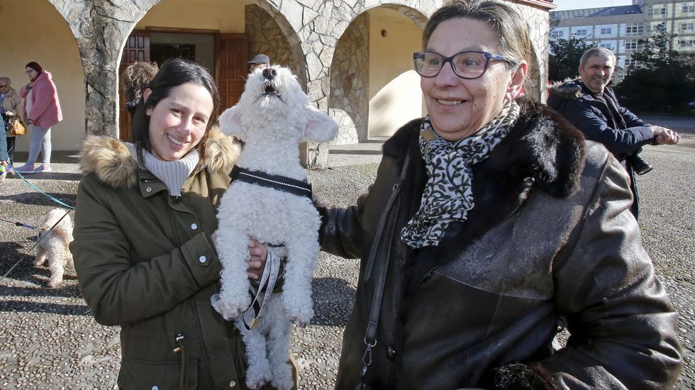 Bendición de mascotas en la iglesia de Campolongo