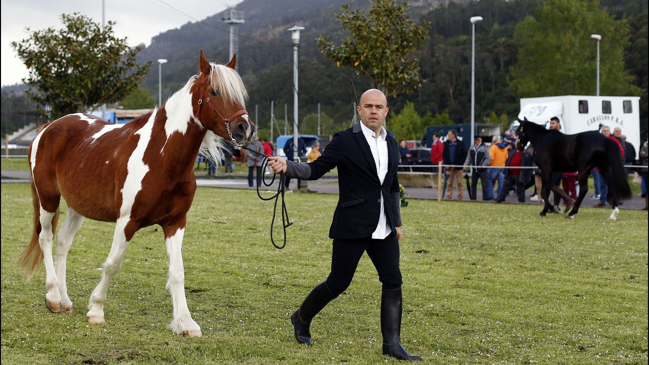 Feria caballar en las Fiestas de San Marcos 2019
