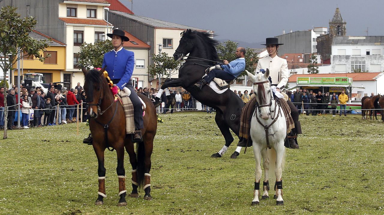 RESUMEN DEL AÑO 2019.Los caballos volvieron a ser los protagonistas en San Marcos