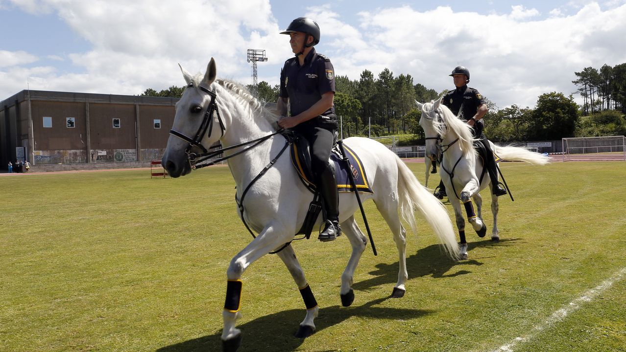 Exhibicion de la Policía Nacional para los escolares de Ribeira con helicoptero, caballería, perros de rastreo