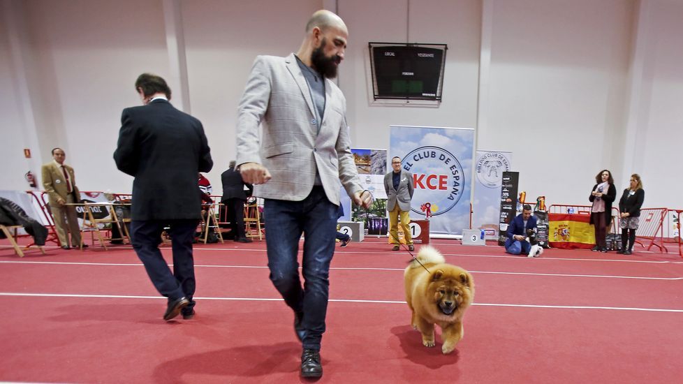 III Exposición Internacional Canina de Ponte Caldelas