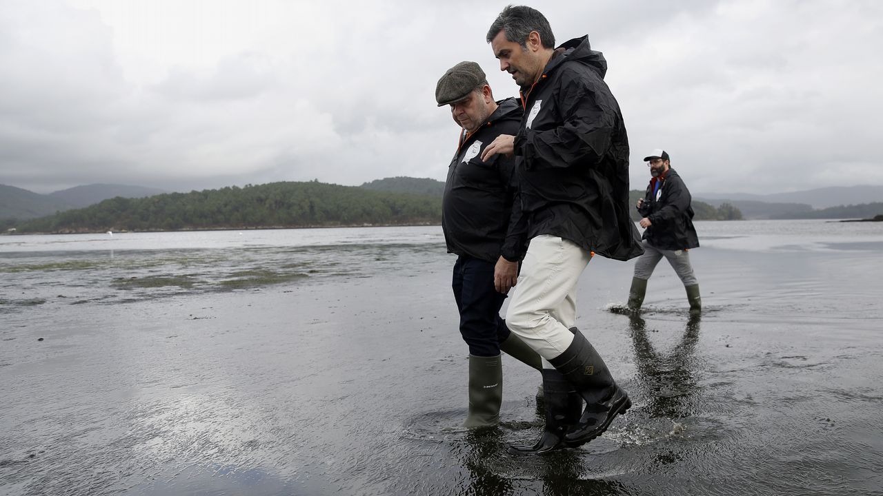 Alberto Chicote visita los bancos marisqueros de Testal en Noia