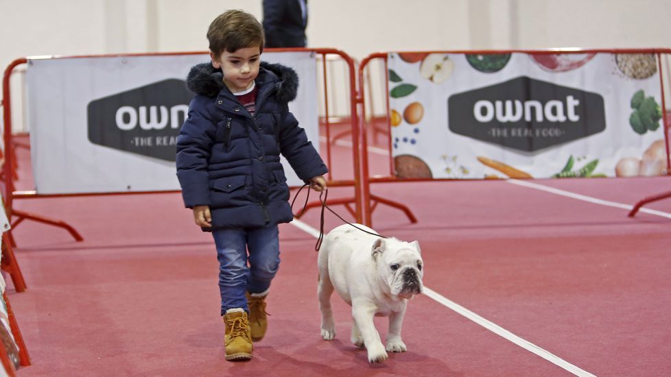 III Exposición Canina de Ponte Caldelas
