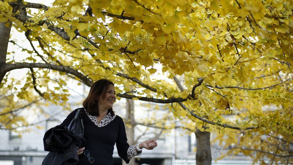 Otoño en Cuatro Caminos
