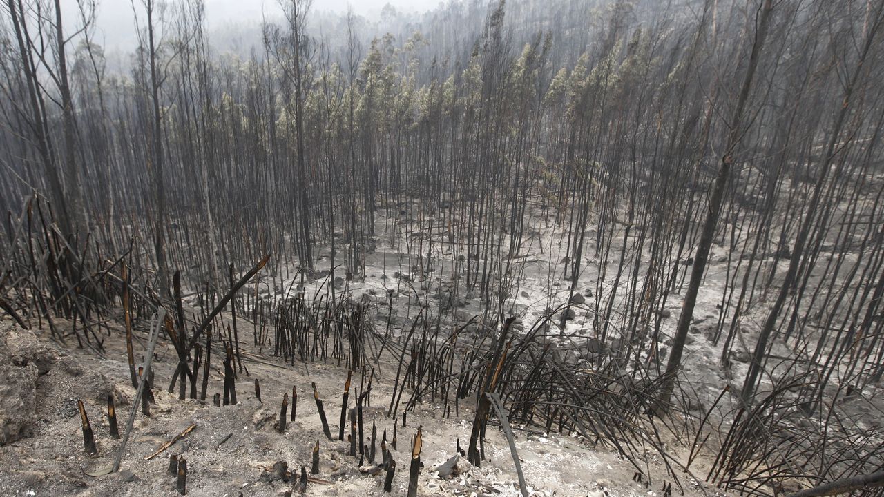 En San Fiz, Bóveda, los bomberos hicieron contrafuegos para evitar la propagacion de las llamas