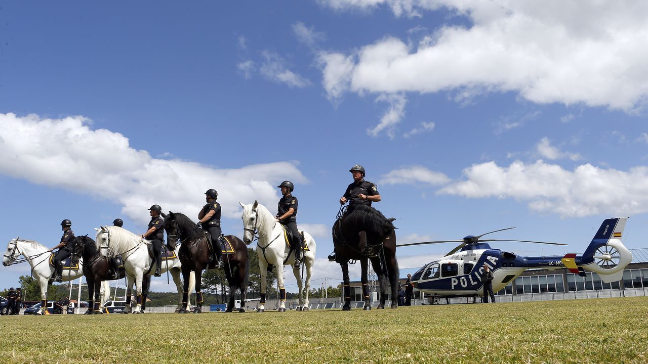 Exhibicion de la Policía Nacional para los escolares de Ribeira con helicoptero, caballería, perros de rastreo
