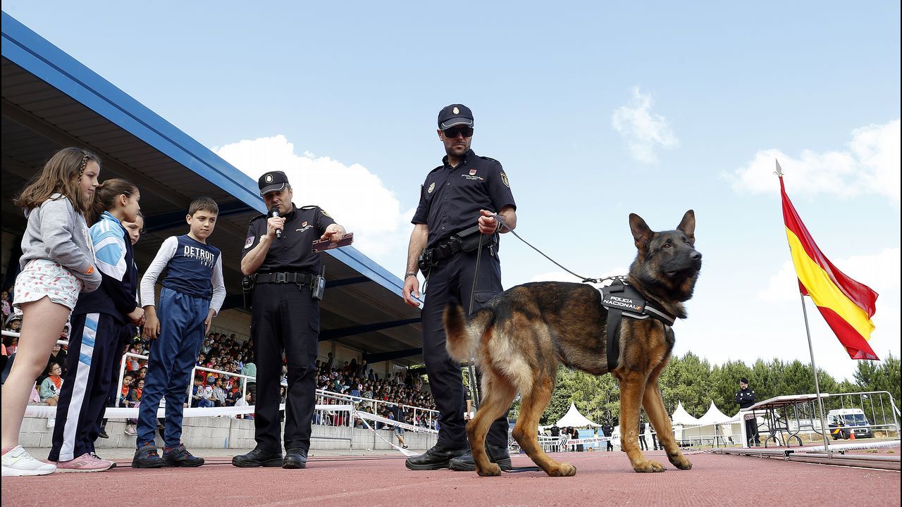 Exhibicion de la Policía Nacional para los escolares de Ribeira con helicoptero, caballería, perros de rastreo