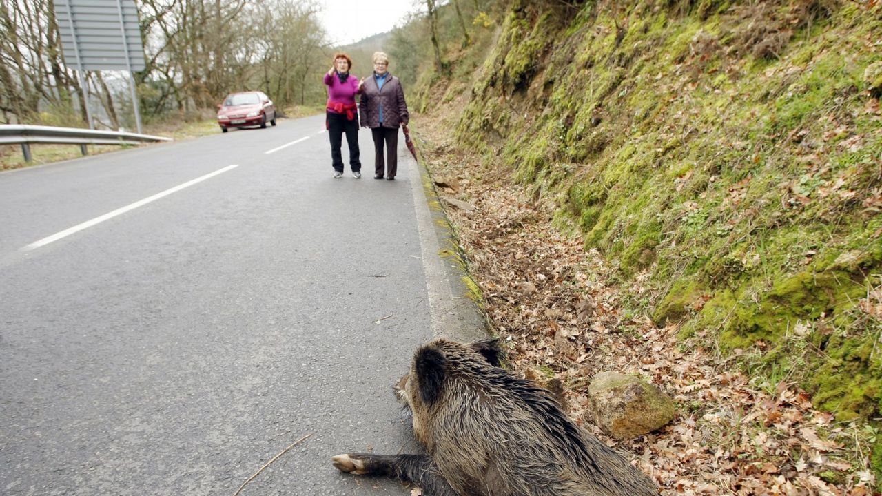 Desde Cai�n a Baldaio: primera etapa del Cami�o Sen L�mites: �b�scate!.Una de las creaciones de Ana Cabranes que pasaron por Camari�as