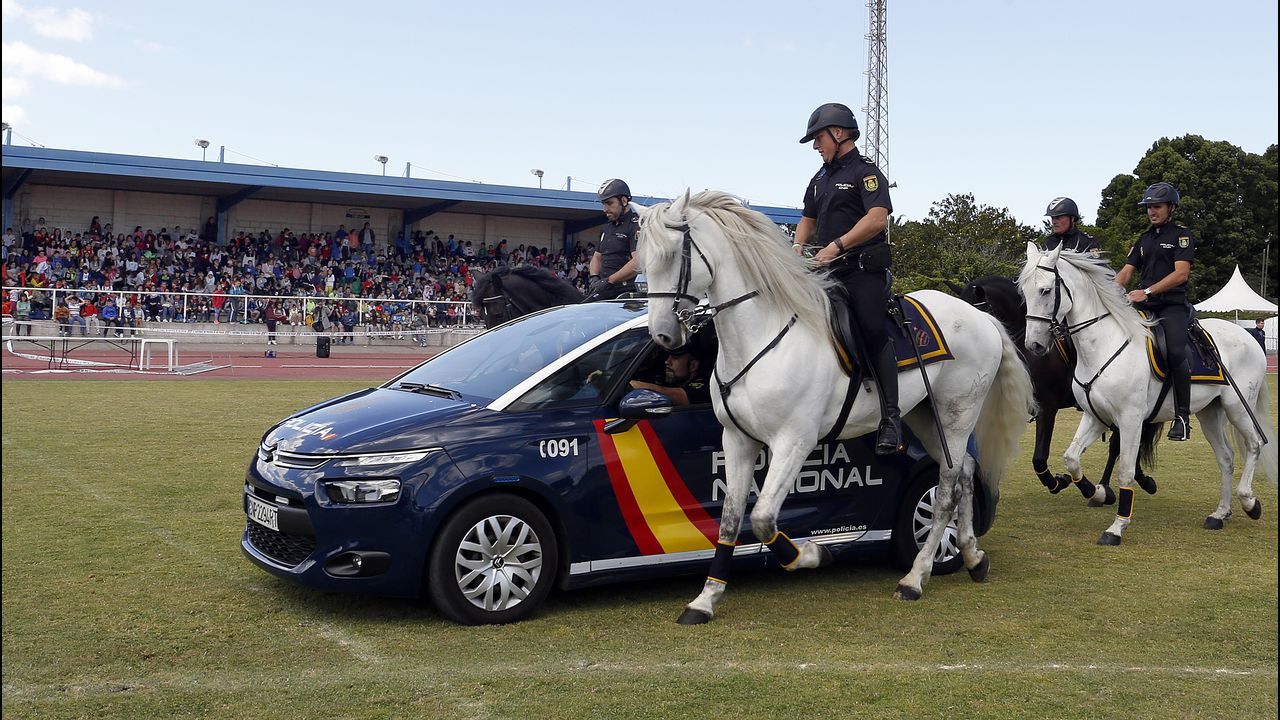 Exhibicion de la Policía Nacional para los escolares de Ribeira con helicoptero, caballería, perros de rastreo