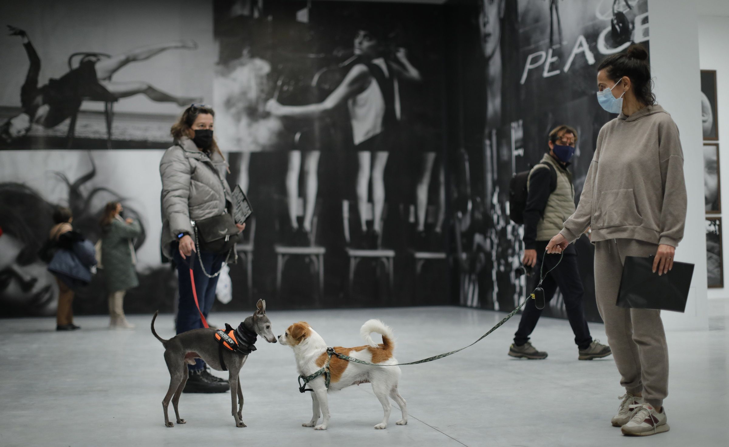 Exposicin de Peter Lindbergh en A Corua. 4/12/2021