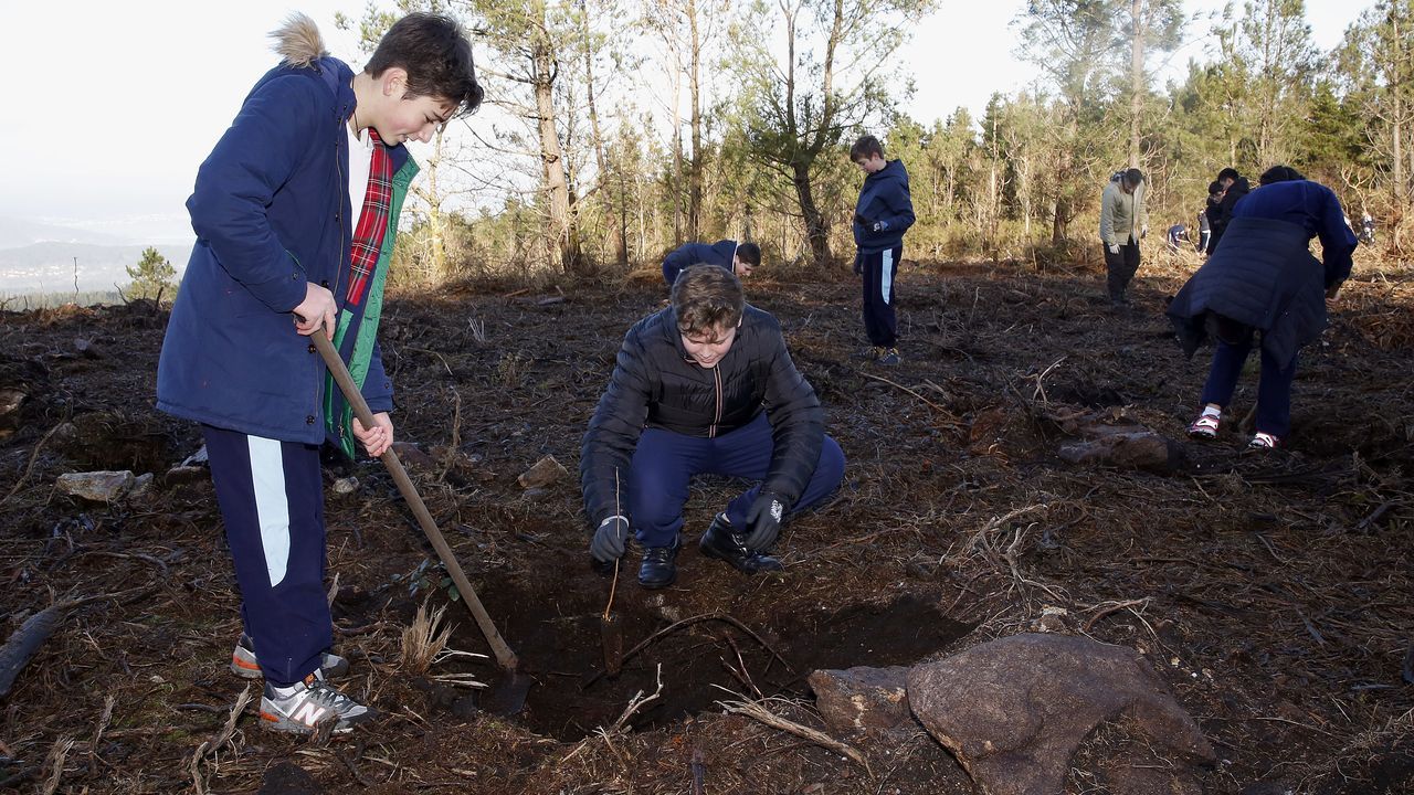 Salida de reforestación en Lousame-Noia, plantación de árboles en Froxán alumnos del colegio Colegio San José de Cluny