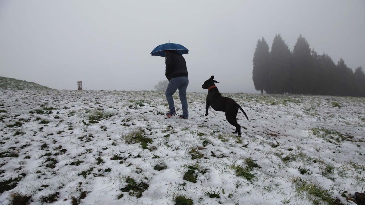 Lugo amanece nevado
