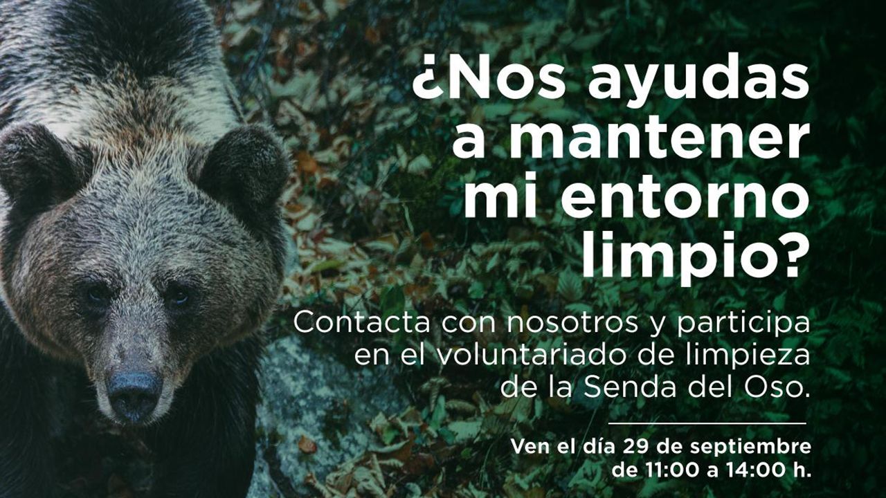 Aparece muerto el delf�n de Llanes.FOA organiza una actividad para limpiar la senda del oso
