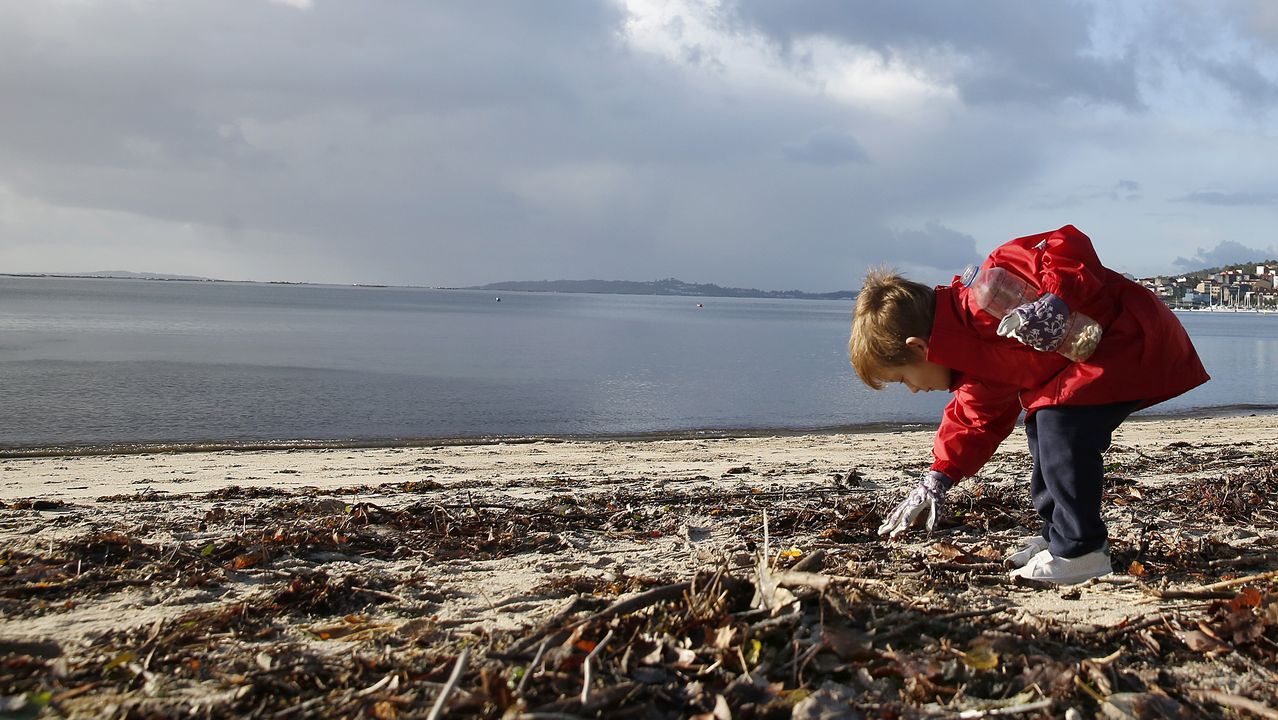 boiro. limpieza de playa de barraña del programa ecomar de jealsa